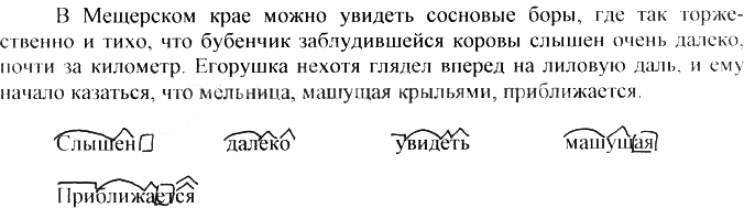 Картинка ГДЗ - Упражнение 307 ГДЗ Греков Крючков 10-11 класс по русскому языку Вариант 2
