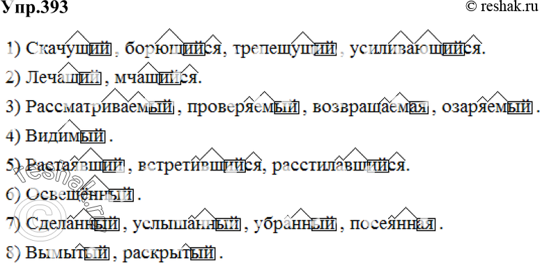 Картинка ГДЗ - Упражнение 393 по русскому языку ГДЗ Разумовская Львова 6 класс Вариант 1