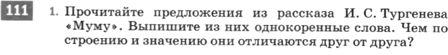 Картинка ГДЗ - задания Упражнение 111 по русскому языку ГДЗ Разумовская Львова 6 класс