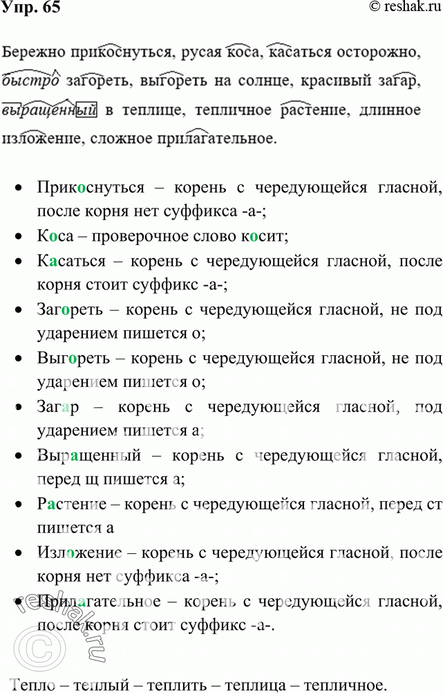Картинка ГДЗ - Упражнение 65 по русскому языку ГДЗ Рыбченкова Александрова 6 класс Вариант 1
