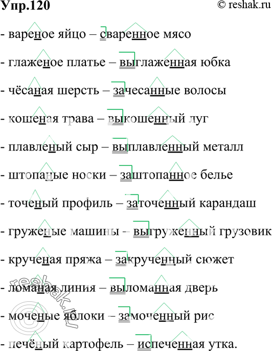 Картинка ГДЗ - Упражнение 120 Глава 5 по русскому языку ГДЗ Шмелев 6 класс Вариант 1