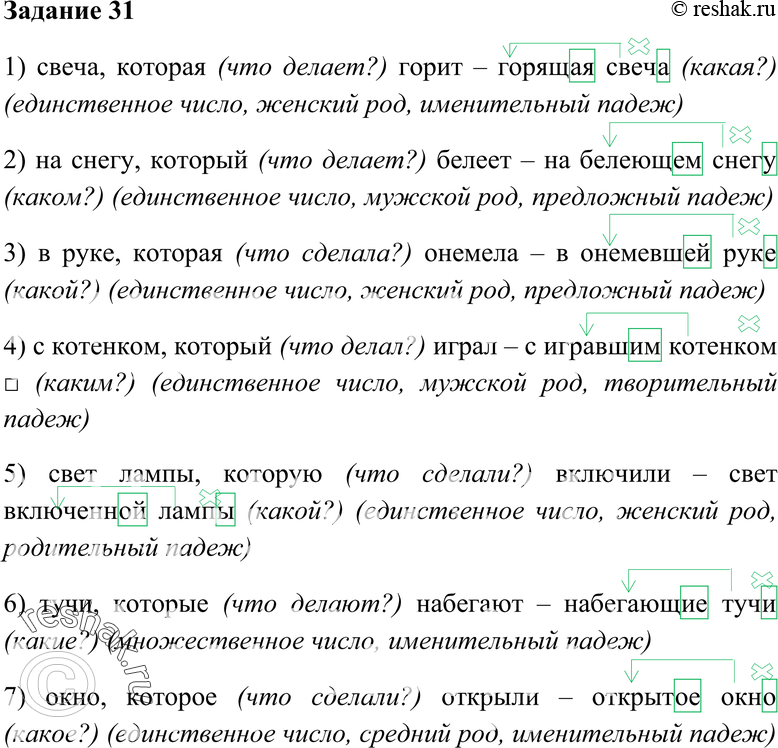 Картинка ГДЗ - Упражнение 31 Глава 5 по русскому языку ГДЗ Шмелев 6 класс Вариант 1