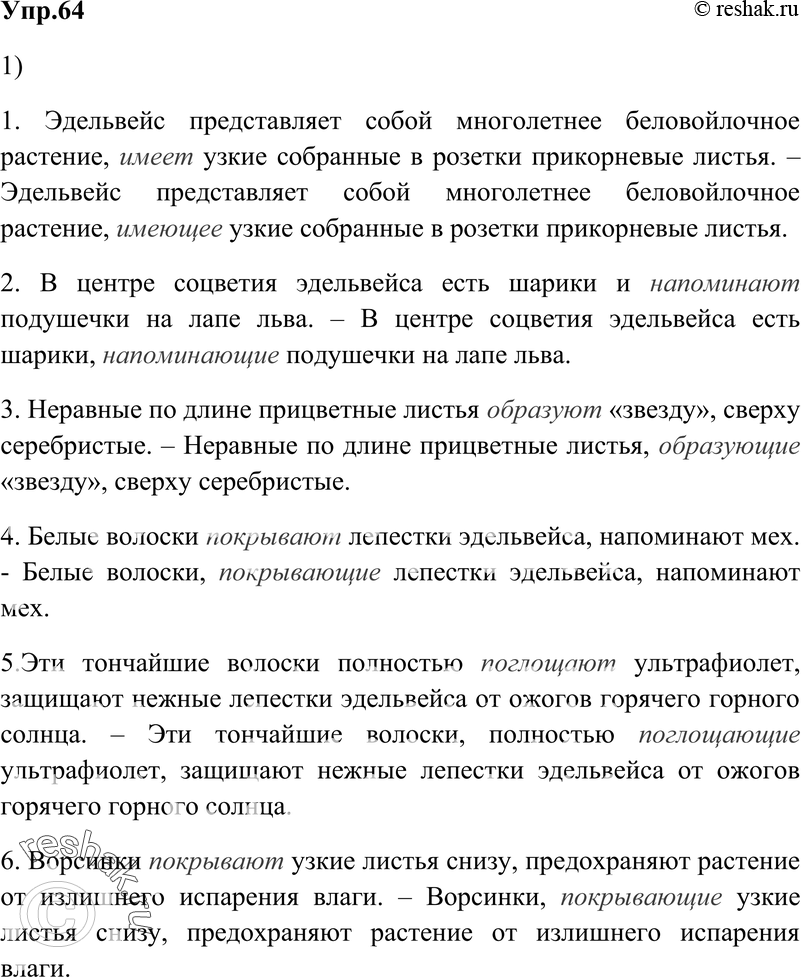 Картинка ГДЗ - Упражнение 64 Глава 5 по русскому языку ГДЗ Шмелев 6 класс Вариант 1