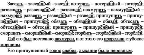 Картинка ГДЗ - Упражнение 128 по русскому языку ГДЗ Ладыженская 7 класс Вариант 1