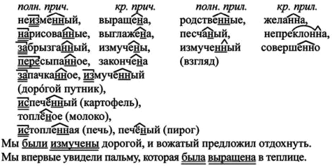 Картинка ГДЗ - Упражнение 146 по русскому языку ГДЗ Ладыженская 7 класс Вариант 1