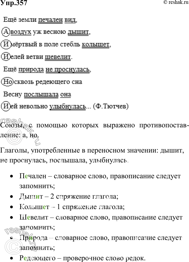 Картинка ГДЗ - Упражнение 357 по русскому языку ГДЗ Ладыженская 7 класс Вариант 1