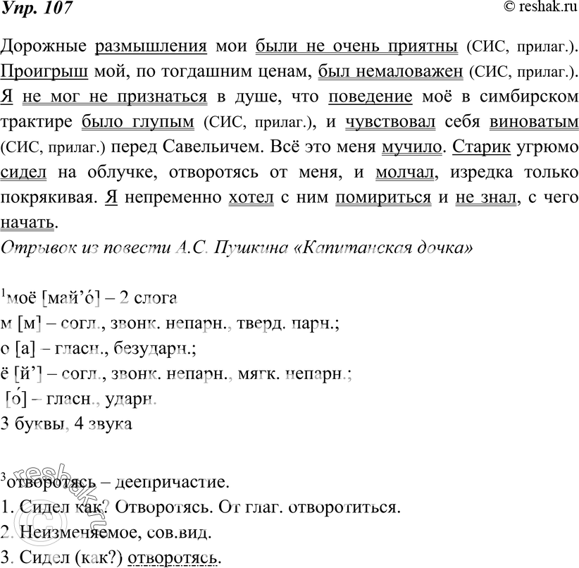 Картинка ГДЗ - Упражнение 107 по русскому языку ГДЗ Ладыженская 8 класс Вариант 1