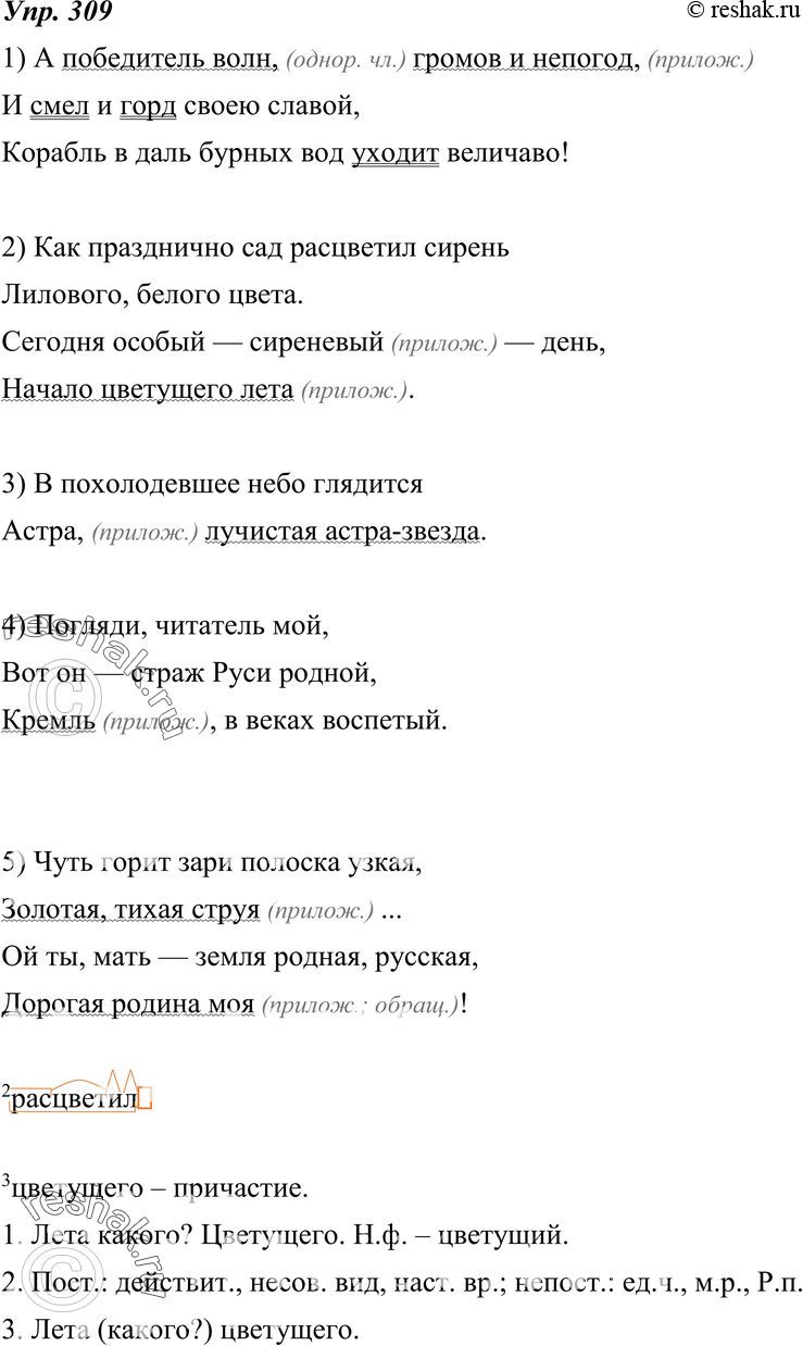 Картинка ГДЗ - Упражнение 309 по русскому языку ГДЗ Ладыженская 8 класс Вариант 1