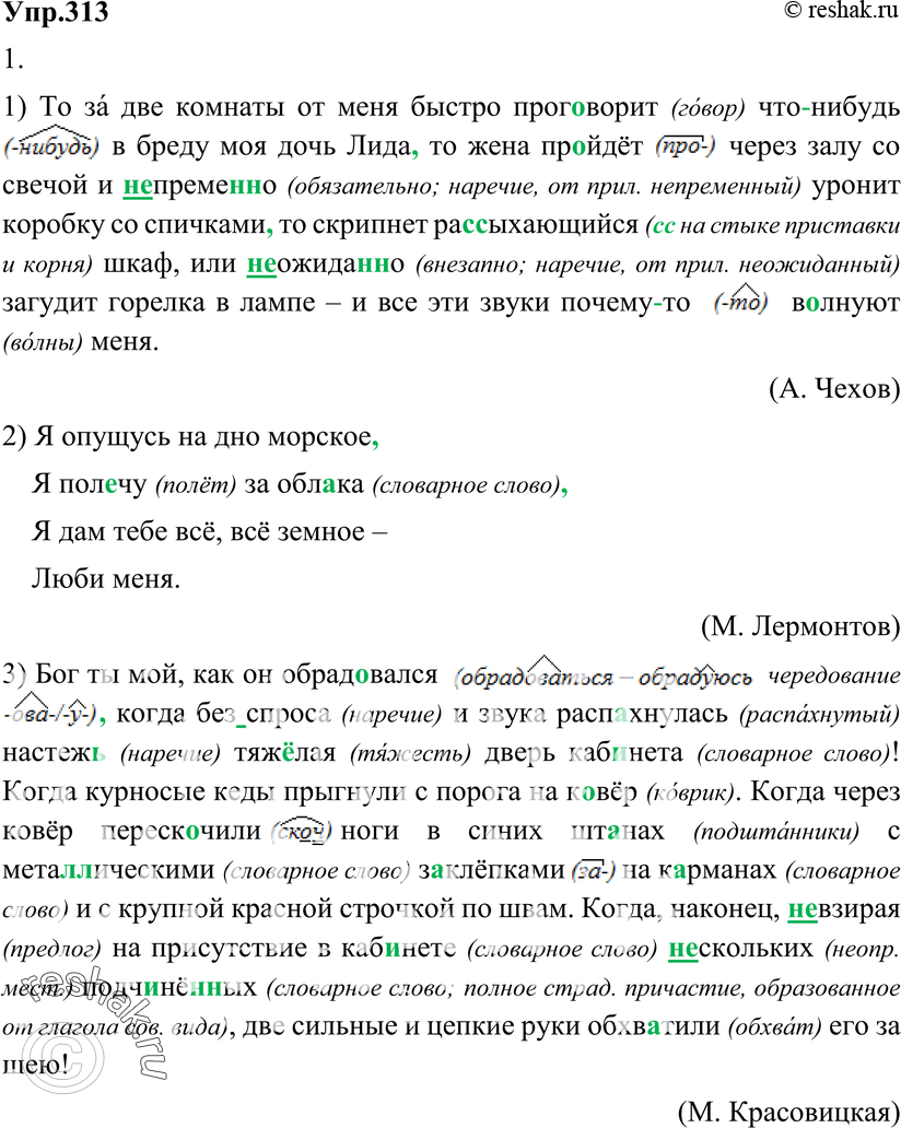 Картинка ГДЗ - Упражнение 313 ГДЗ Разумовская 9 класс по русскому языку Вариант 1