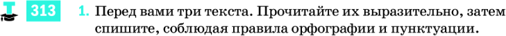 Картинка ГДЗ - задания Упражнение 313 ГДЗ Разумовская 9 класс по русскому языку