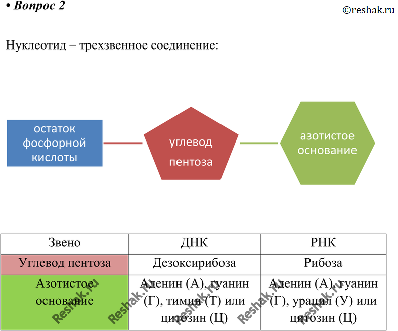 Картинка ГДЗ - Параграф 18 Вопрос 2 ГДЗ Габриелян 10 класс по химии Вариант 1