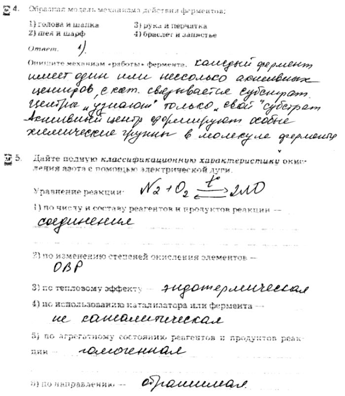 Картинка ГДЗ - Страница 124 ГДЗ рабочая тетрадь Габриелян 10 класс Вариант 1