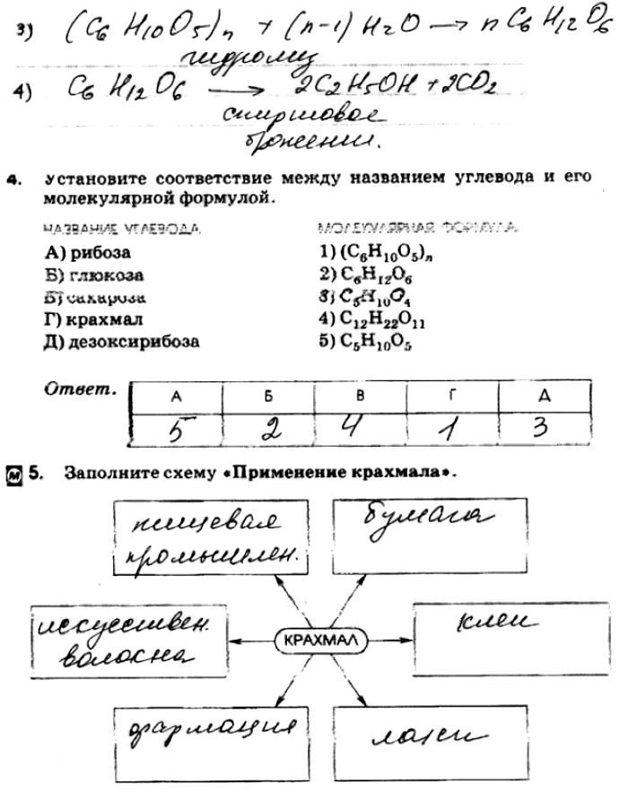 Картинка ГДЗ - Страница 98 ГДЗ рабочая тетрадь Габриелян 10 класс Вариант 1