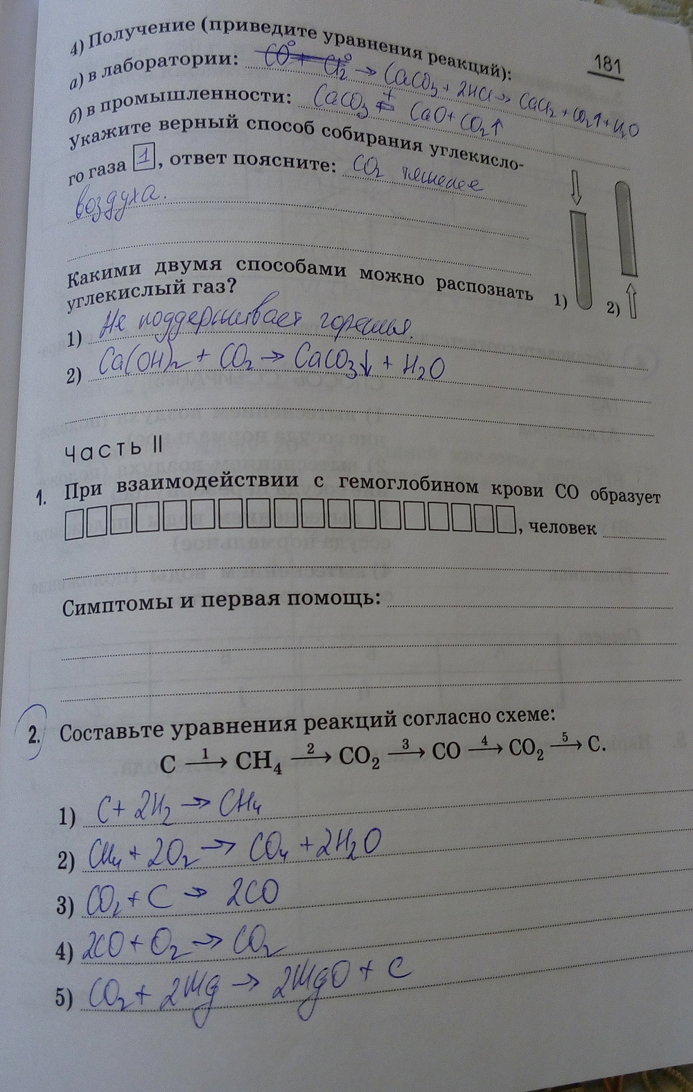 Картинка ГДЗ - Страница 181 ГДЗ рабочая тетрадь Габриелян 9 класс Вариант 1